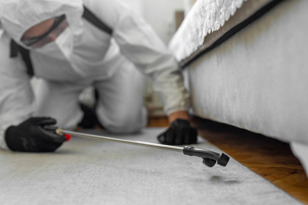 Professional Termite Control technician working in Lakeside, MT