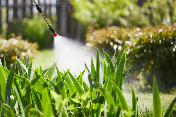 24/7 Emergency Termite Control experts in Lakeside, MT