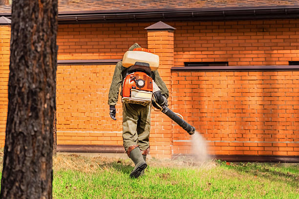Top rated local Termite Control specialists in Lakeside, MT